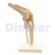Classic Knee Joint